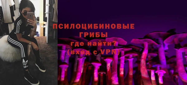 стаф Тында