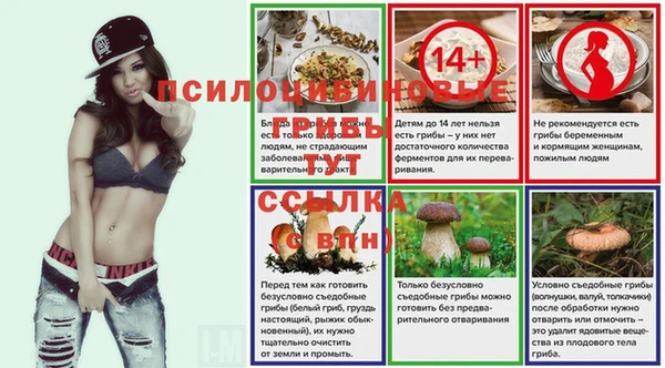 кокс Богородицк
