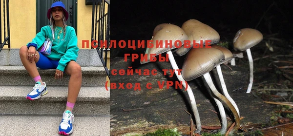 марки nbome Белокуриха
