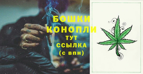 кокс Богородицк