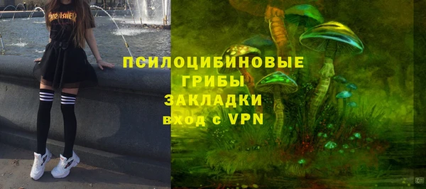 марки nbome Белокуриха