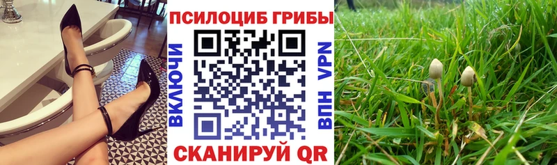 Галлюциногенные грибы MAGIC MUSHROOMS Высоцк