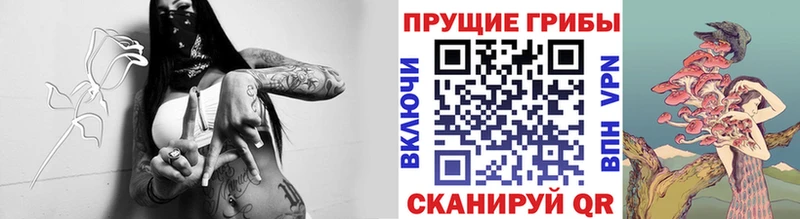 наркота  гидра маркетплейс  Галлюциногенные грибы MAGIC MUSHROOMS  Высоцк 