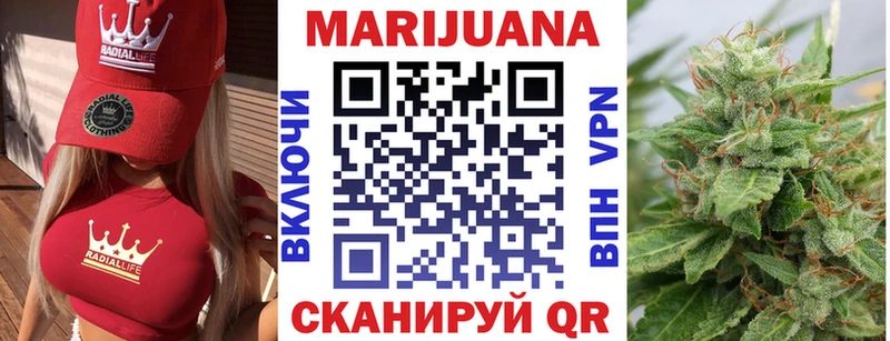 Шишки марихуана Bruce Banner  Высоцк 
